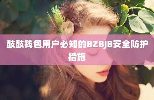 鼓鼓钱包用户必知的BZBJB安全防护措施