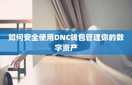 如何安全使用DNC钱包管理你的数字资产