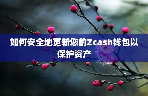 如何安全地更新您的Zcash钱包以保护资产