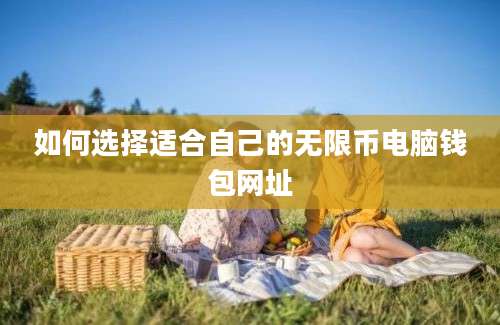 如何选择适合自己的无限币电脑钱包网址