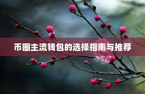 币圈主流钱包的选择指南与推荐