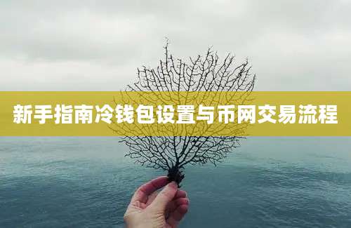 新手指南冷钱包设置与币网交易流程