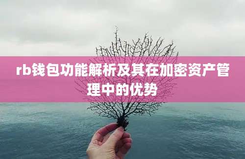 rb钱包功能解析及其在加密资产管理中的优势