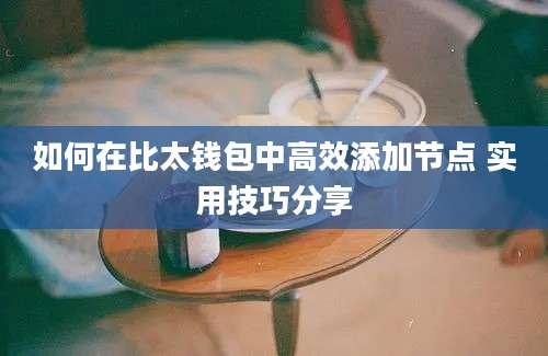 如何在比太钱包中高效添加节点 实用技巧分享