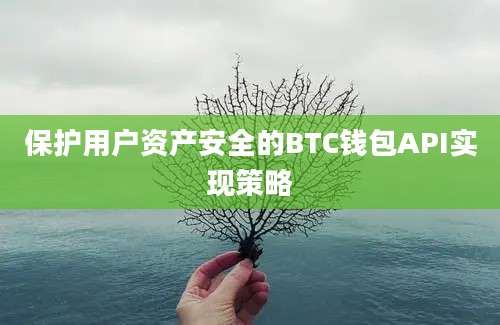 保护用户资产安全的BTC钱包API实现策略