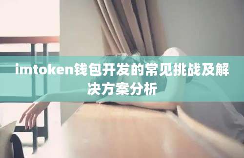 imtoken钱包开发的常见挑战及解决方案分析