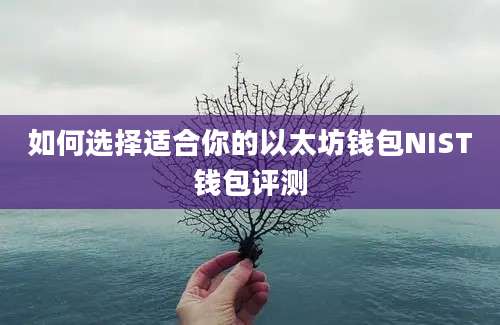 如何选择适合你的以太坊钱包NIST钱包评测