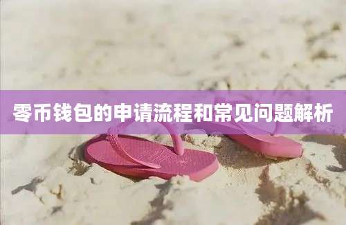 零币钱包的申请流程和常见问题解析