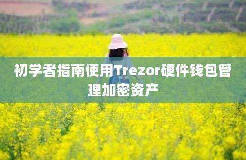 初学者指南使用Trezor硬件钱包管理加密资产