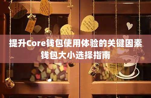 提升Core钱包使用体验的关键因素钱包大小选择指南