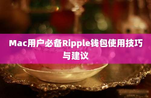 Mac用户必备Ripple钱包使用技巧与建议