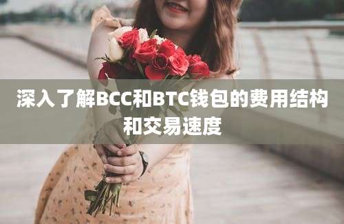 深入了解BCC和BTC钱包的费用结构和交易速度