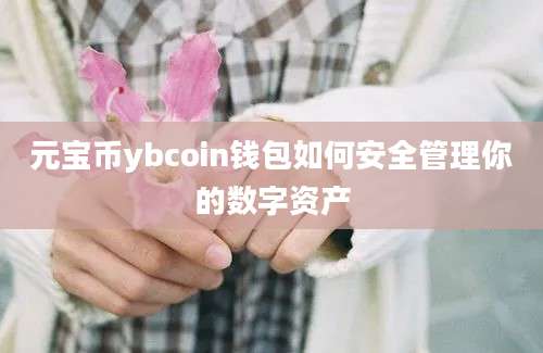 元宝币ybcoin钱包如何安全管理你的数字资产