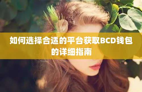 如何选择合适的平台获取BCD钱包的详细指南