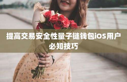 提高交易安全性量子链钱包iOS用户必知技巧