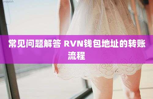 常见问题解答 RVN钱包地址的转账流程