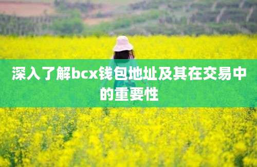 深入了解bcx钱包地址及其在交易中的重要性