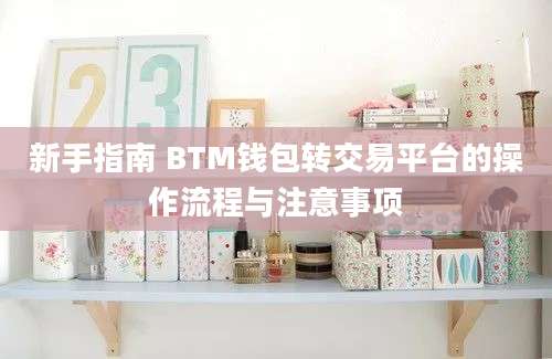 新手指南 BTM钱包转交易平台的操作流程与注意事项