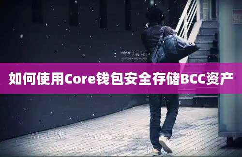 如何使用Core钱包安全存储BCC资产