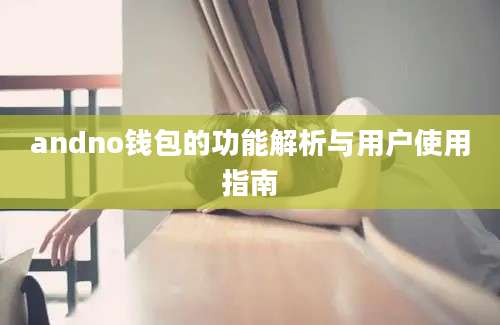 andno钱包的功能解析与用户使用指南