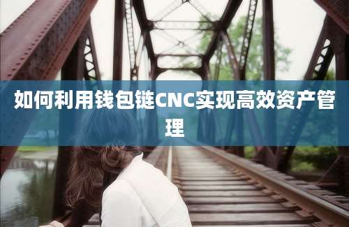 如何利用钱包链CNC实现高效资产管理