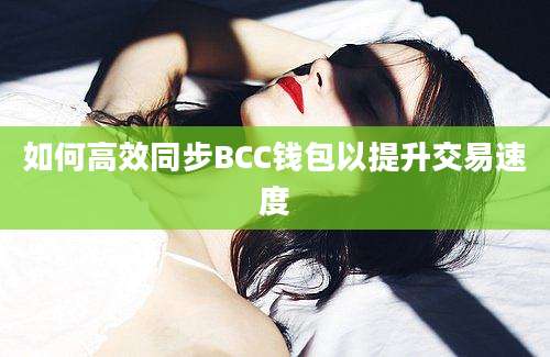 如何高效同步BCC钱包以提升交易速度