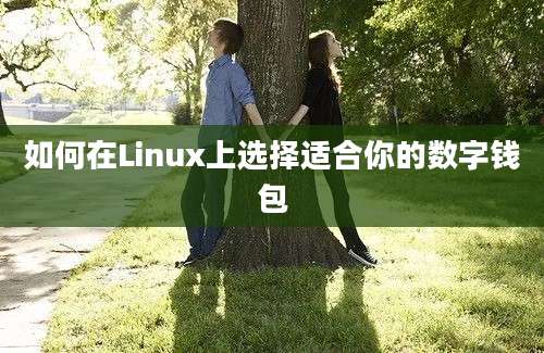 如何在Linux上选择适合你的数字钱包