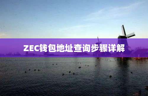 ZEC钱包地址查询步骤详解