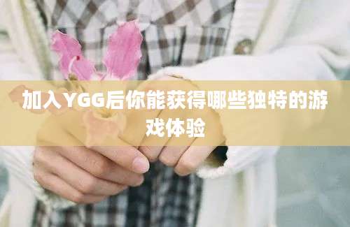 加入YGG后你能获得哪些独特的游戏体验