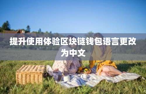 提升使用体验区块链钱包语言更改为中文