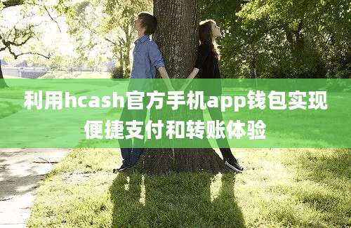 利用hcash官方手机app钱包实现便捷支付和转账体验