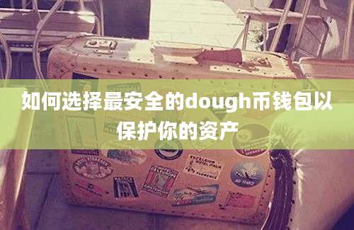 如何选择最安全的dough币钱包以保护你的资产