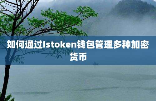 如何通过Istoken钱包管理多种加密货币