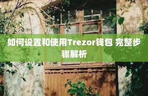 如何设置和使用Trezor钱包 完整步骤解析