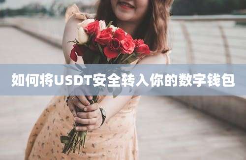 如何将USDT安全转入你的数字钱包