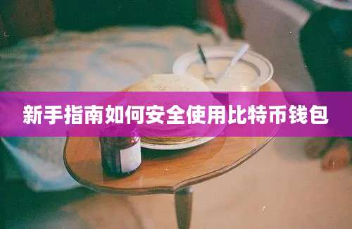 新手指南如何安全使用比特币钱包