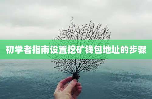 初学者指南设置挖矿钱包地址的步骤