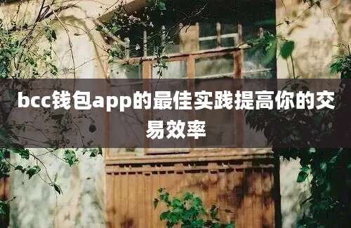 bcc钱包app的最佳实践提高你的交易效率