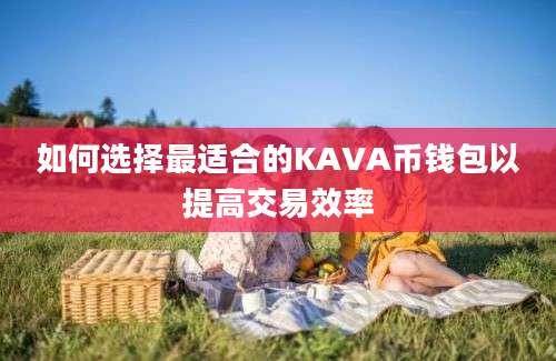 如何选择最适合的KAVA币钱包以提高交易效率