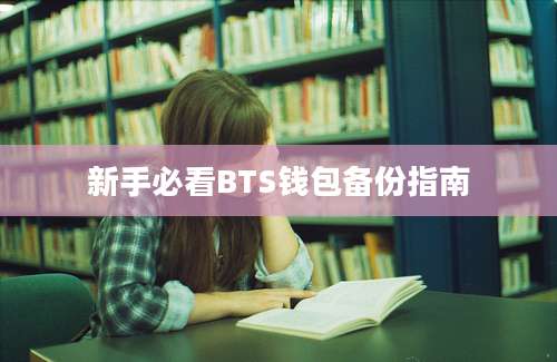 新手必看BTS钱包备份指南