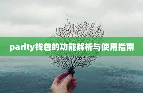 parity钱包的功能解析与使用指南