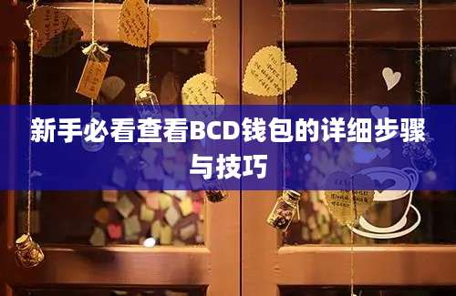 新手必看查看BCD钱包的详细步骤与技巧