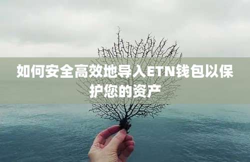 如何安全高效地导入ETN钱包以保护您的资产