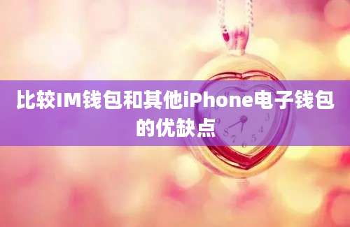 比较IM钱包和其他iPhone电子钱包的优缺点