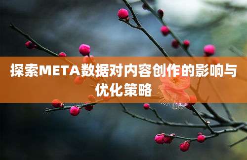 探索META数据对内容创作的影响与优化策略