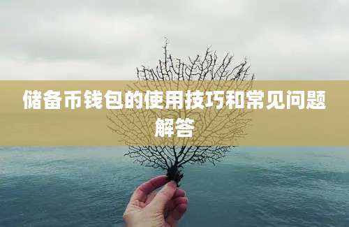 储备币钱包的使用技巧和常见问题解答