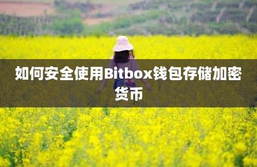 如何安全使用Bitbox钱包存储加密货币