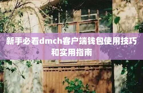 新手必看dmch客户端钱包使用技巧和实用指南