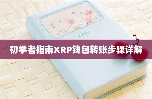 初学者指南XRP钱包转账步骤详解