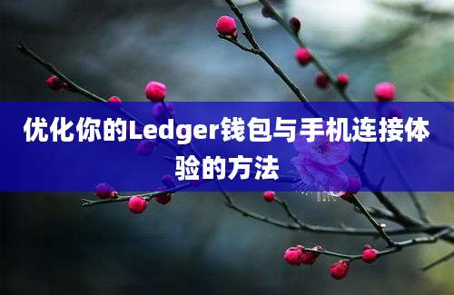 优化你的Ledger钱包与手机连接体验的方法